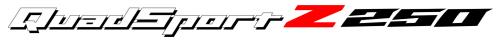 SUZUKI LT-Z 250 Logo