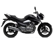 Tourer / Tourensport: SUZUKI GW 250 Inazuma 2013
