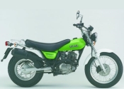 Leichtkraftrad: SUZUKI RV 125 VanVan 2003