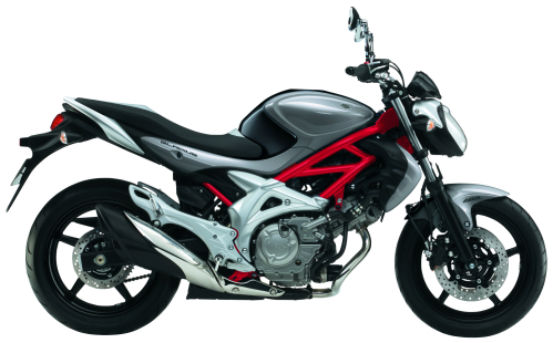 SUZUKI SFV 650 A 2010, Grau-Anthrazit