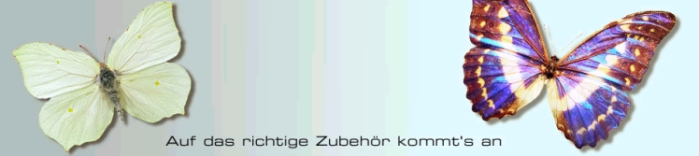 Top-News der Rubrik Online-Shop